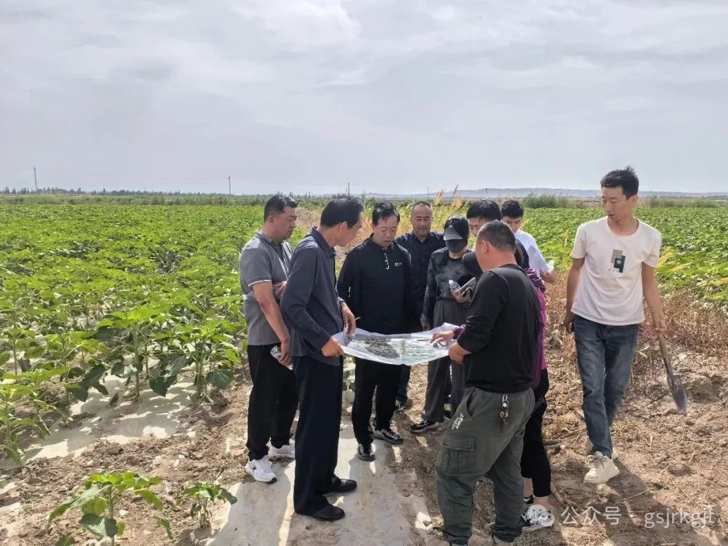 企業(yè)動態(tài) | 金控自然生態(tài)公司赴瓜州縣實地推動項目指標(biāo)入庫工作